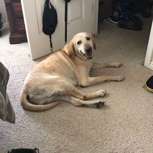 Meet your Posher, Tya